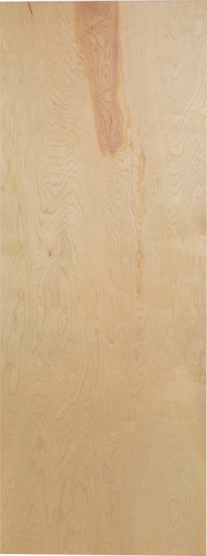 Masonite-Hollow Core Door – 62
