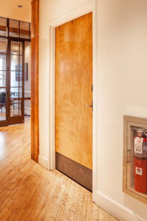 Birch Wood Door – 117